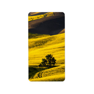 Etiqueta Campo de prado amarelo no vento