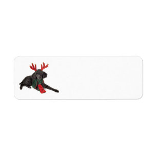 Etiqueta Cão de caniche preto do brinquedo do Natal vestid
