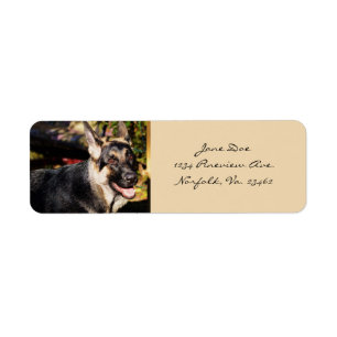 Etiqueta Cão de german shepherd
