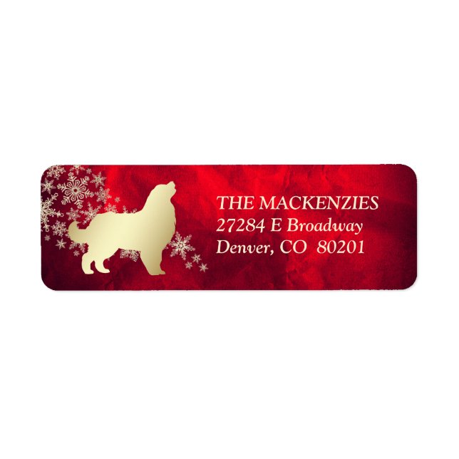 Etiqueta Cão de Montanha Bernês Dourado Vermelho de Inverno (Frente)