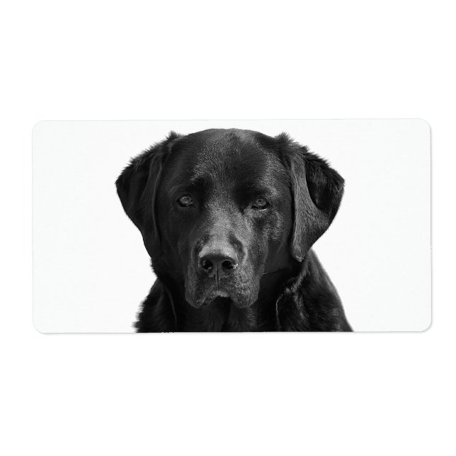 Etiqueta Cão-Pãozinho do Retriever Labrador Negro (Frente)