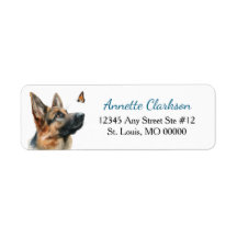 Cão Pastor Alemão Borboleta Maravilha