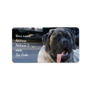 Etiqueta Cão rajado do Mastiff