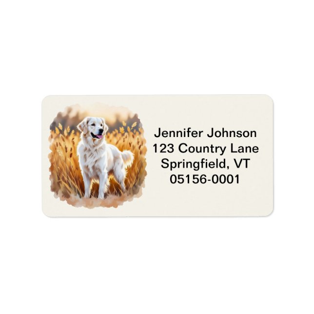 Etiqueta Cão Retriever Dourado Branco (Frente)