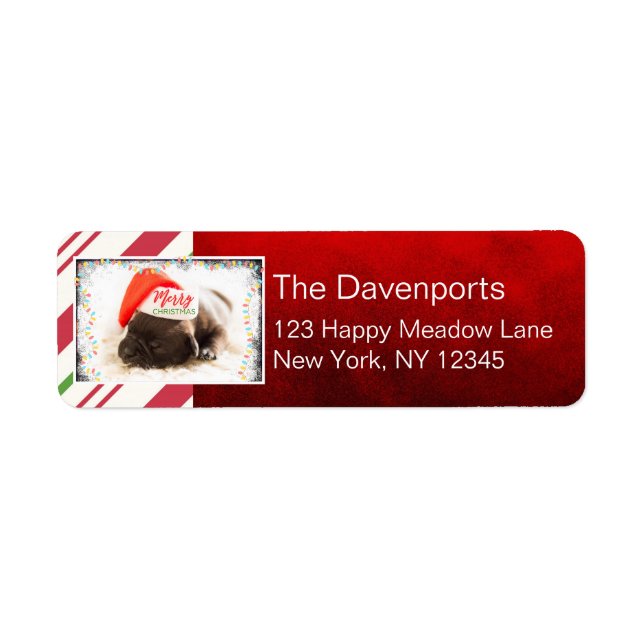 Etiqueta Cãozinho giro no Natal Vermelho (Frente)