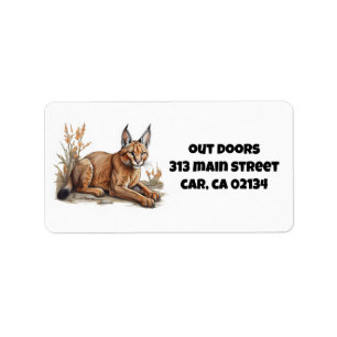 Etiqueta Cartão postal