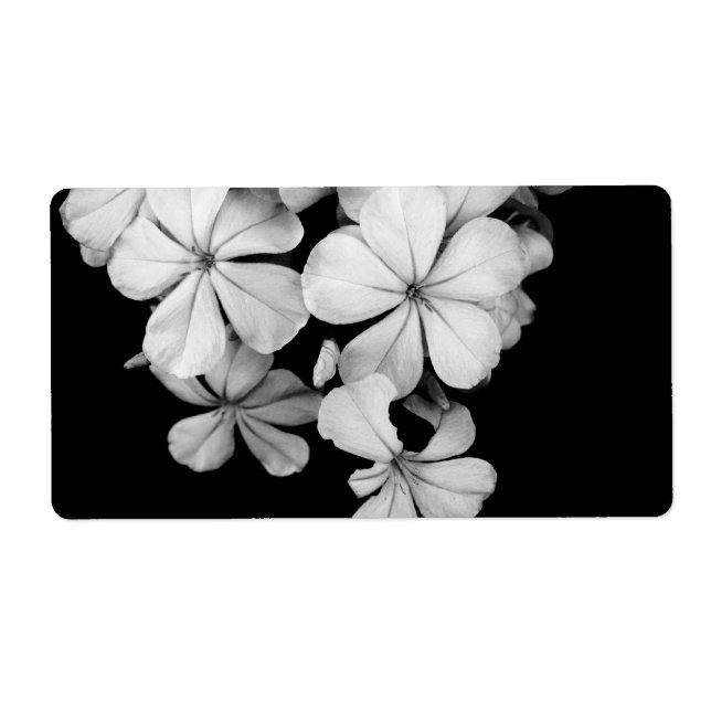 Etiqueta &Cartão postal (Frente)