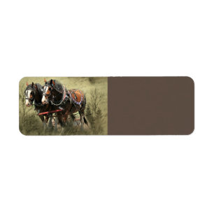 Etiqueta Cartão-postal Vintage Weathered Clydesdale