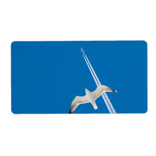 Etiqueta Carvoeiro e avião