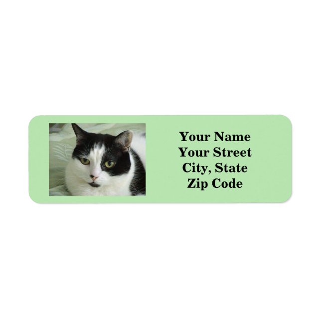 Etiqueta Cat Photo Green (Frente)