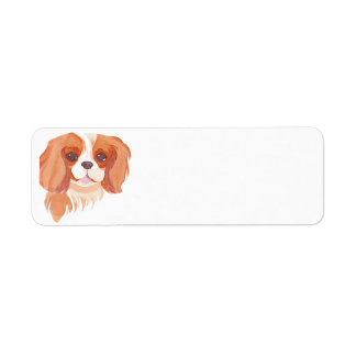 Etiqueta Cavalier King Charles Spaniel