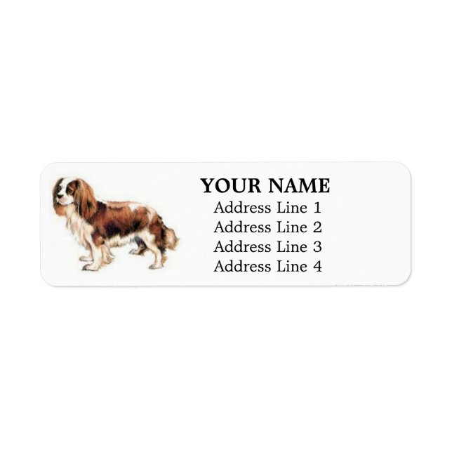 Etiqueta Cavalier King Charles Spaniel Endereço Labels (Frente)
