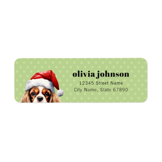Etiqueta Cavalier King Charles Spaniel Endereço Labels (Frente)
