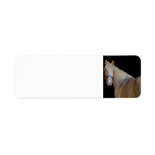 Etiqueta Cavalo (Frente)