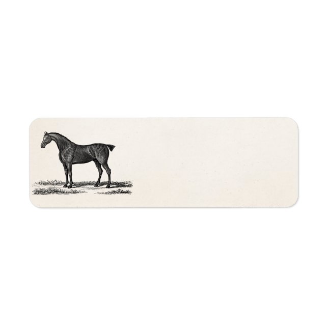 Etiqueta Cavalos caçadores de cavalos ingleses dos anos 180 (Frente)