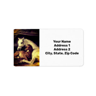 Etiqueta Cavalos de Landseer