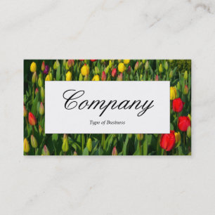 Etiqueta central - Tulipas coloridas