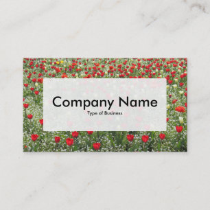 Etiqueta central v3 - Cama de tulipas