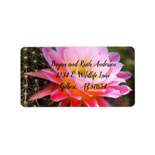 Etiqueta Cereus em Sangue de Cactus Rosa