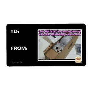 Etiqueta Chamada 1-800-LOLCATS