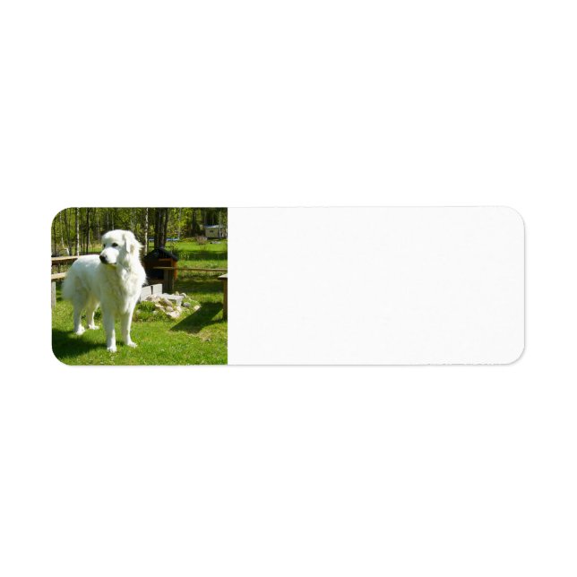 Etiqueta cheio 2 das folhas excelentes (Frente)