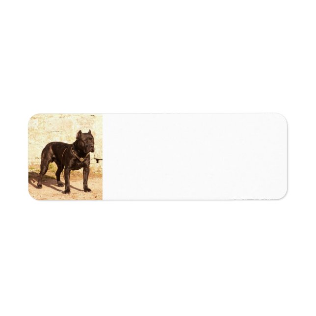 Etiqueta cheio do canerio de perro de pressa (Frente)