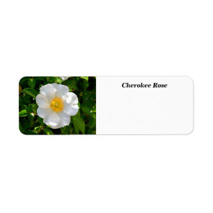 Etiqueta Cherokee Rosa Flower