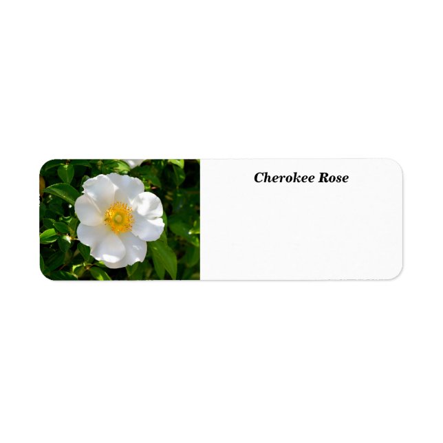 Etiqueta Cherokee Rosa Flower (Frente)