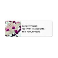 Cherry Blossom Branch Bonito Floral Design