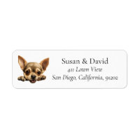 Chhuahua Dog Breed Pet Lovers
