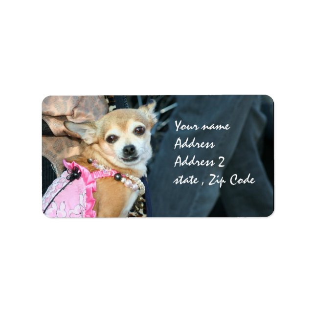 Etiqueta Chihuahua (Frente)