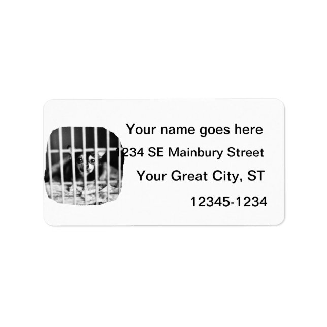 Etiqueta chihuahua Black and White Bebehind Bares (Frente)