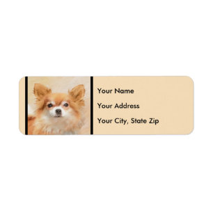 Etiqueta Chihuahua Pintura De Cachorro De Cabelo Longo