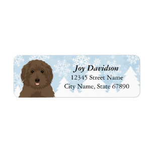 Etiqueta Chocolate Labradoodle Rótulos de Endereço de Inver