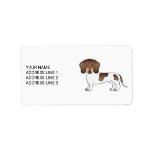 Etiqueta Chocolate & Tan Pied Cabelo Curto Dachshund & Text