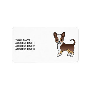 Etiqueta Chocolate Tricolor Casaco Chihuahua Cachorro Suave