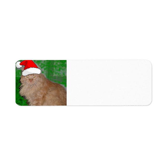 Etiqueta Christmas Orange Tabby Kitten (Frente)