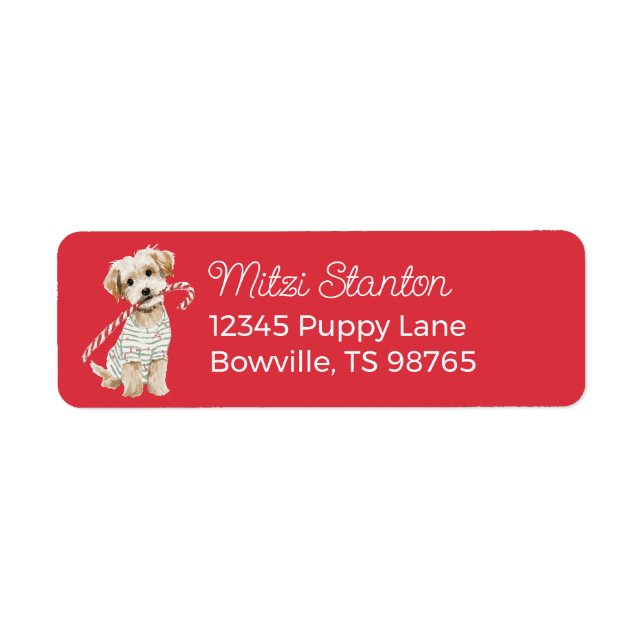 Etiqueta Christmas Puppy in a Scarf address label (Frente)