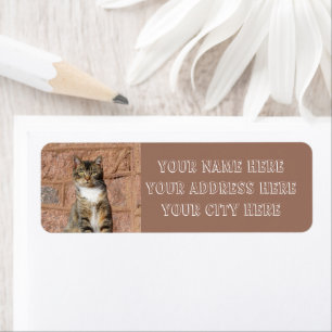 Etiqueta Church Cat