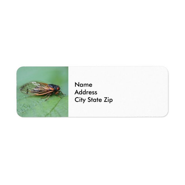 Etiqueta Cicada Foto (Frente)