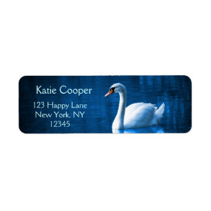 Etiqueta Cisne branca bonito que flutua em um lago azul