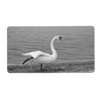 Etiqueta Cisne dançante