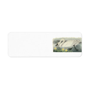 Etiqueta Cisne de tundra por Audubon