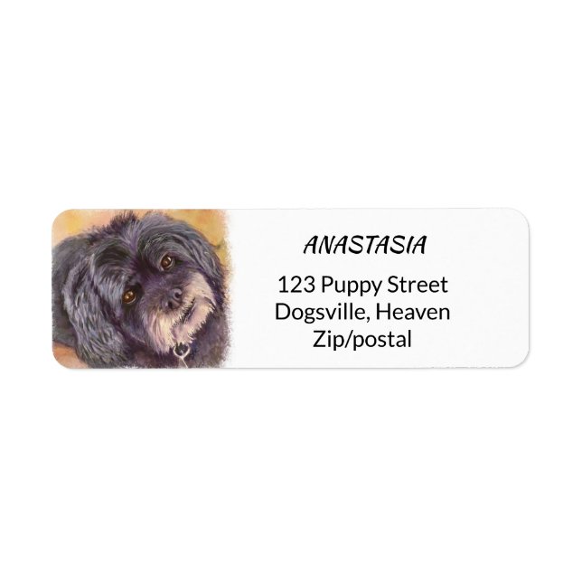 ETIQUETA COCK-A-POO MIX PRETO CUTIE (Frente)