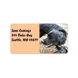 Etiqueta Cocker Spaniel preto feliz