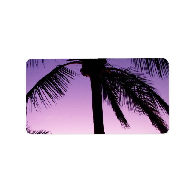 Etiqueta Cocos no Vento (Frente)