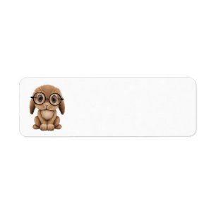 Etiqueta Coelho bonito do bebê de Brown que veste vidros