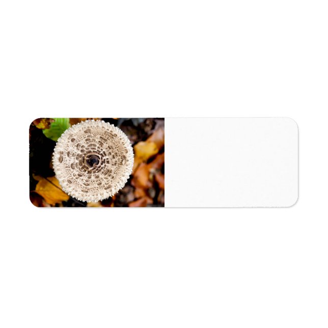 Etiqueta Cogumelo (Frente)