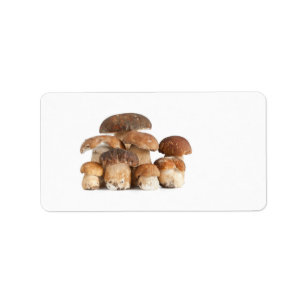 Etiqueta Cogumelo do boleto