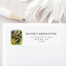 Coleção de Borboletas Coloridas Boho Vintage